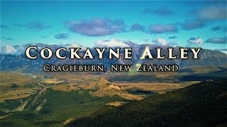 Cockayne Alley Trail, Cragieburn, New Zealand