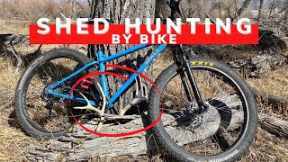 I Went Hunting For Deer Sheds On My Mountain Bike