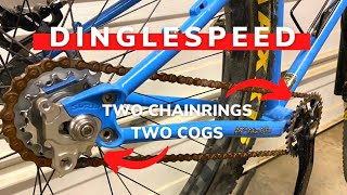 Dinglespeed: Double Single Speed | What Is It...