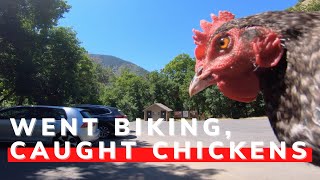 That Time I Went Mountain Biking And Caught...