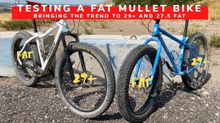 Fat Mullet Bike? | Mixing Wheel Sizes On A Fat...