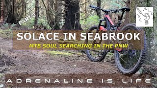 Nirvana in Seabrook Washington | Mountain...