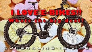 E Mountain Bike Hate | I rode an E Fat Bike...