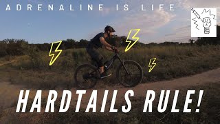 Hardtail Mountain Bikes | Why a Hardtail...