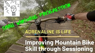 Small Victories Along the Trail of Mountain...