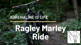 Meet Bob. My Ragley Marley Dream Build: Ride Edit