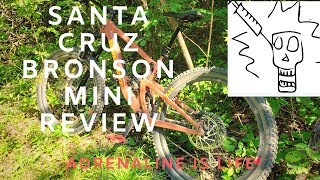 Santa Cruz Bronson Mini Review: My 2 Cents in...