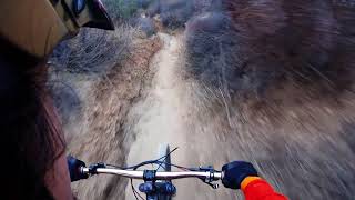 Topanga state park black trails Dec 2017