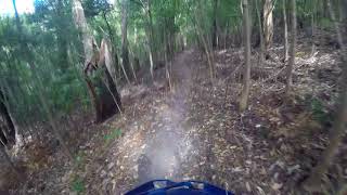Hobo's Track