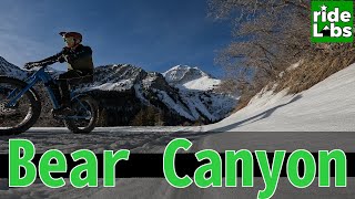 Fat Biking Bear Canyon