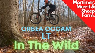 Orbea Occam LT 'In The Wild'