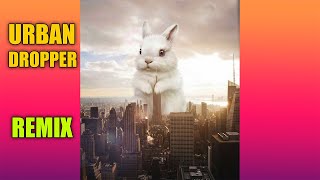 Baby Bunny God Dam God Dam Remix