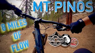 Mt Pinos Mountain Biking | Group Ride with...