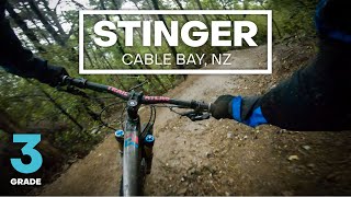 FAST FLOWY FUN - Stinger Mountain Bike Trail...