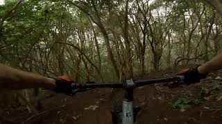 Ohana Trail System - Bottles in the rain