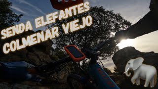 ‍♀️ ⛰  Senda Elefantes  | Colmenar...