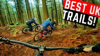 THE BEST TRAILS WE HAVE RIDDEN!
