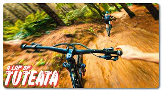 This Might Be Our Favorite Trail In Town!  | ...