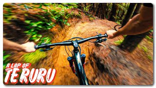 Off-Camber Non-Stick Roots are the Dream!  | ...