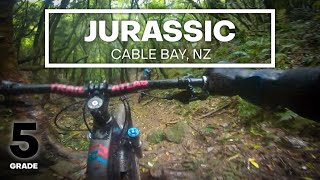TYPE II FUN (CRASHED INTO A CREEK BED) -...