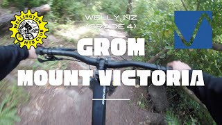 Grom | Mount Victoria | Wellington, NZ | BLIND...