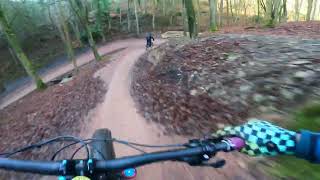 Launchpad trail in the Forest of Dean - winter...