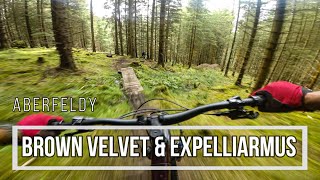 Glassie Bike Park - Brown Velvet and...