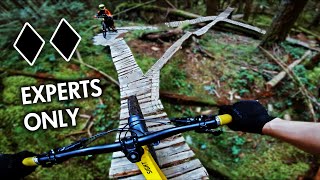 Now THIS Is A Double Black Trail
