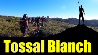 Tossal Blanch