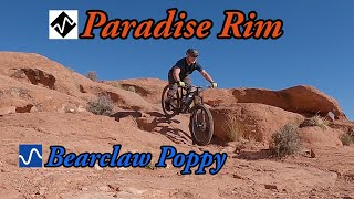 Paradise Rim and Bearclaw Poppy