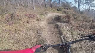 Rollercoaster(hullámvasút) trail közepe