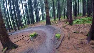 Bikepark Wales - Terry's Belly