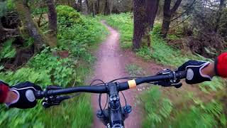 Bikepark Wales - Melted Welly