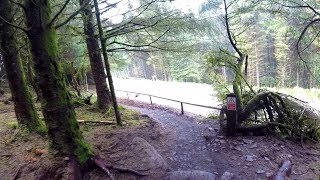 Bikepark Wales - Root Manoeuvres