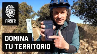 Toteemi: Domina tu territorio