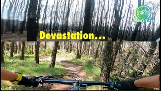 Ripping off the bandage! MTB in Greece!
