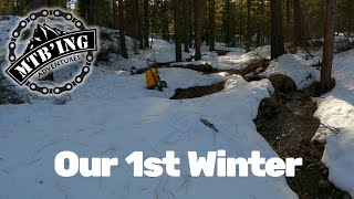 Winterstoke Property Walk