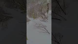 Shredding hard in Hokkaido for a photo shoot |...