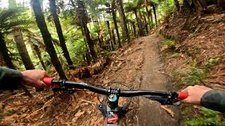 Dirty Hands @ Whakarewarewa Forest. Rotorua