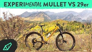 Santa Cruz Chameleon Mx vs 29er - Getting...
