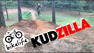 Mountain Biking in Florida - Shredding...