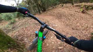 BTT Buçaco