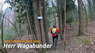 Herr Wagabunder, Sasso Marconi (BO), 05-02-2022