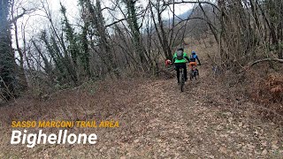 Bighellone, Sasso Marconi (BO), 05-02-2022