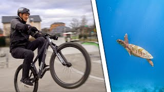 Chillige Skatepark Session und Schildkröten...