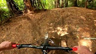 Log Drop @ Oropi Grove. Tauranga