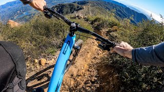 IT'S A WILD ONE | Mountain Biking Tequepis...