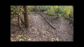 Rock Drop Trail, Frick Park, Pennsylvania