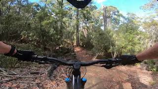 Hollybank mtb online