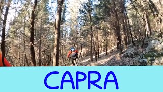 MTB Travalle Poggio Uccellaia 12.02.2022...